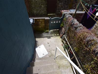 Picture 7